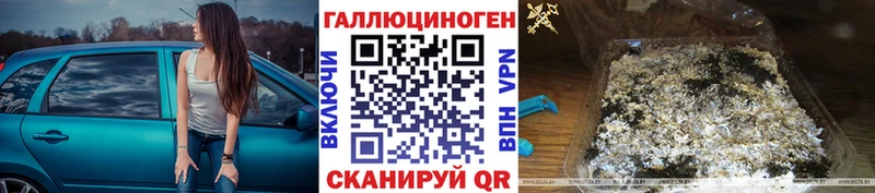 Купить где  Никольское  Псилоцибиновые грибы Magic Shrooms 